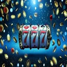 14win bet